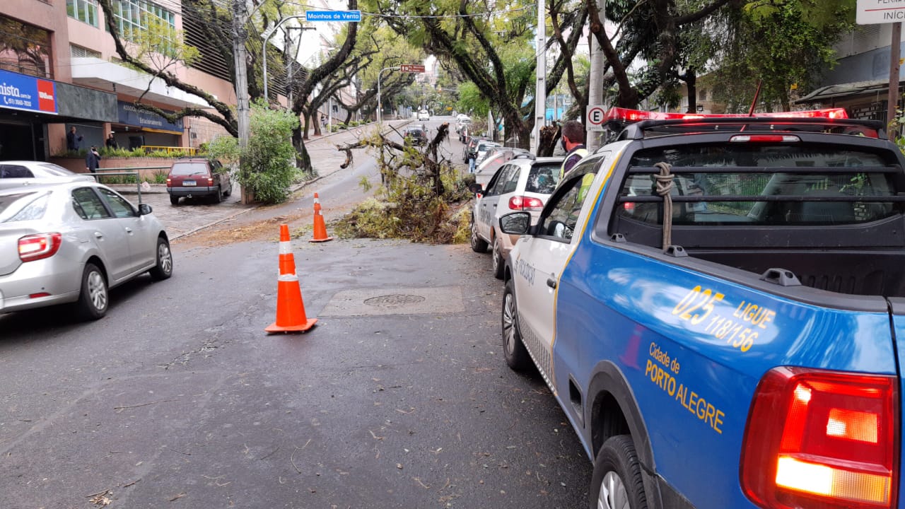 A Smams (Secretaria do Meio Ambiente e Sustentabilidade) foi acionada para retirar as partes da árvore. Foto: Divulgação/EPTC