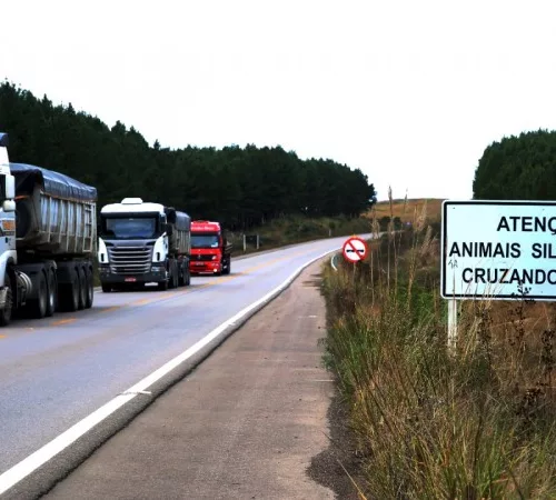 Imagem mostra em primeiro plano placa de sinalização e ao lado caminhões trafegando na Rodovia Rota do Sol, no Rio Grande do Sul