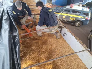 PRF apreende carreta com mais de uma tonelada de maconha na Região Norte do RS