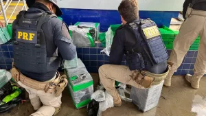 Polícia apreende quase meia tonelada de cocaína em Uruguaiana