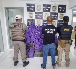 Polícia apreende 1 tonelada de maconha no Vale do Rio Pardo