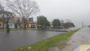 Cheia da Lagoa dos Patos deixa famílias fora de casa no Sul do RS